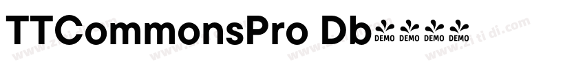 TTCommonsPro Db字体转换